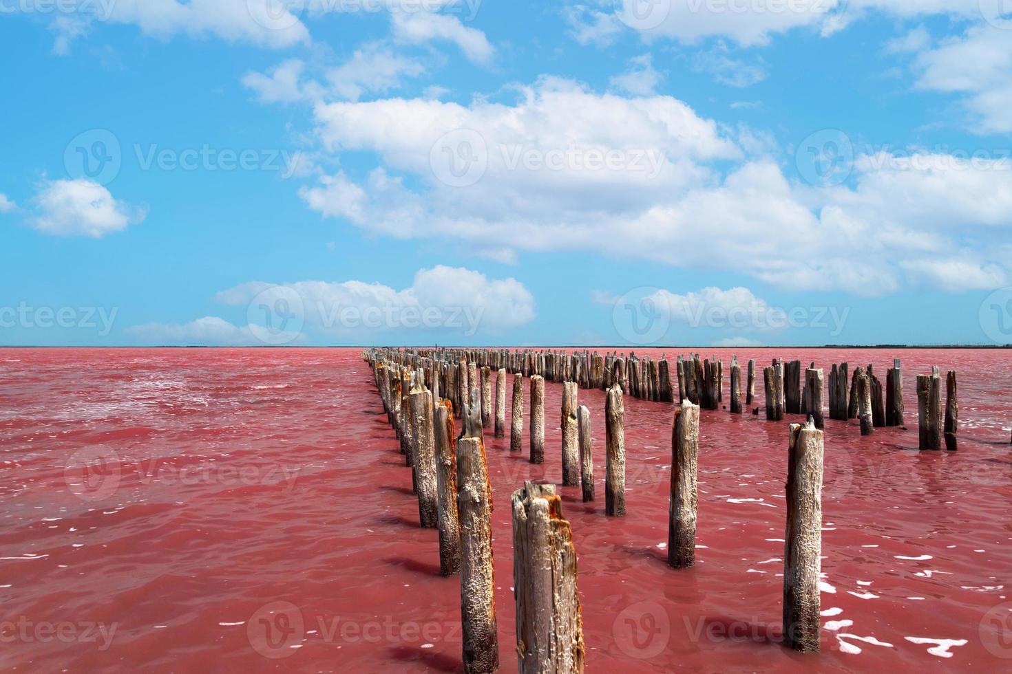Exotic pink salt lake and blue sky with clouds. photo