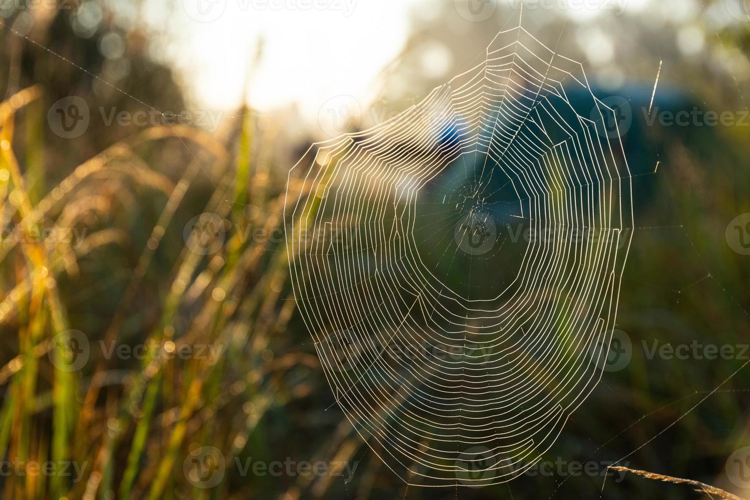 Spider web with dewdrops, wounded by a cold misty morning. Selective focus. photo