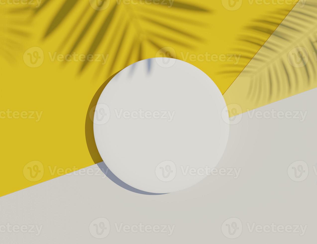 3d render top view of white blank cylinder frame for mock up and display products with shadows of palm leaves and white blue background. photo
