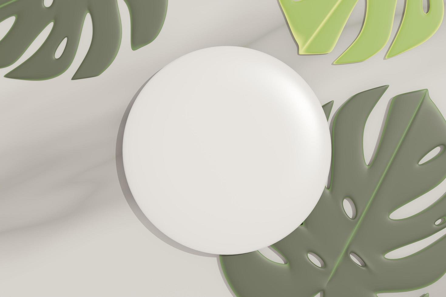 3d render top view of white blank cylinder frame for mock up and display products with shadows of palm and Monstera leaves. Creative idea concept. Green natural background. photo