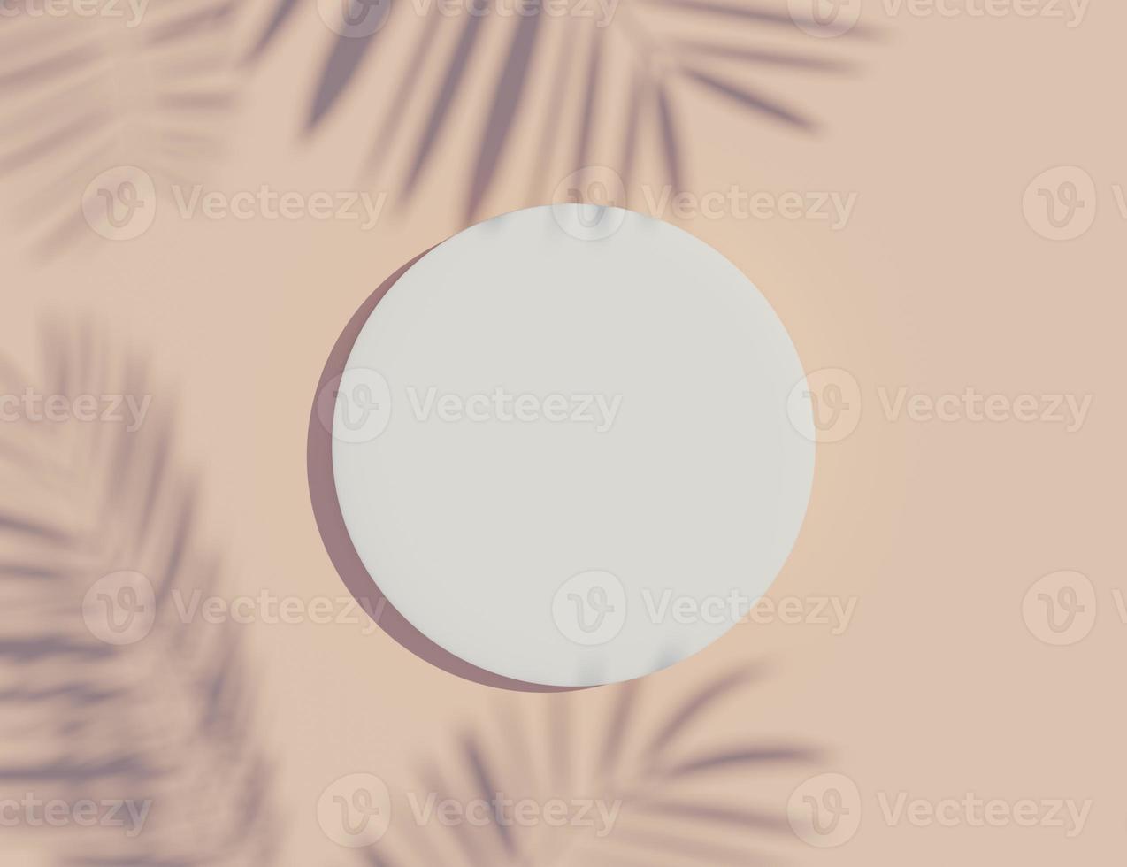 3d render top view of white blank cylinder frame for mock up and display products with shadows of palm leaves and white blue background. photo