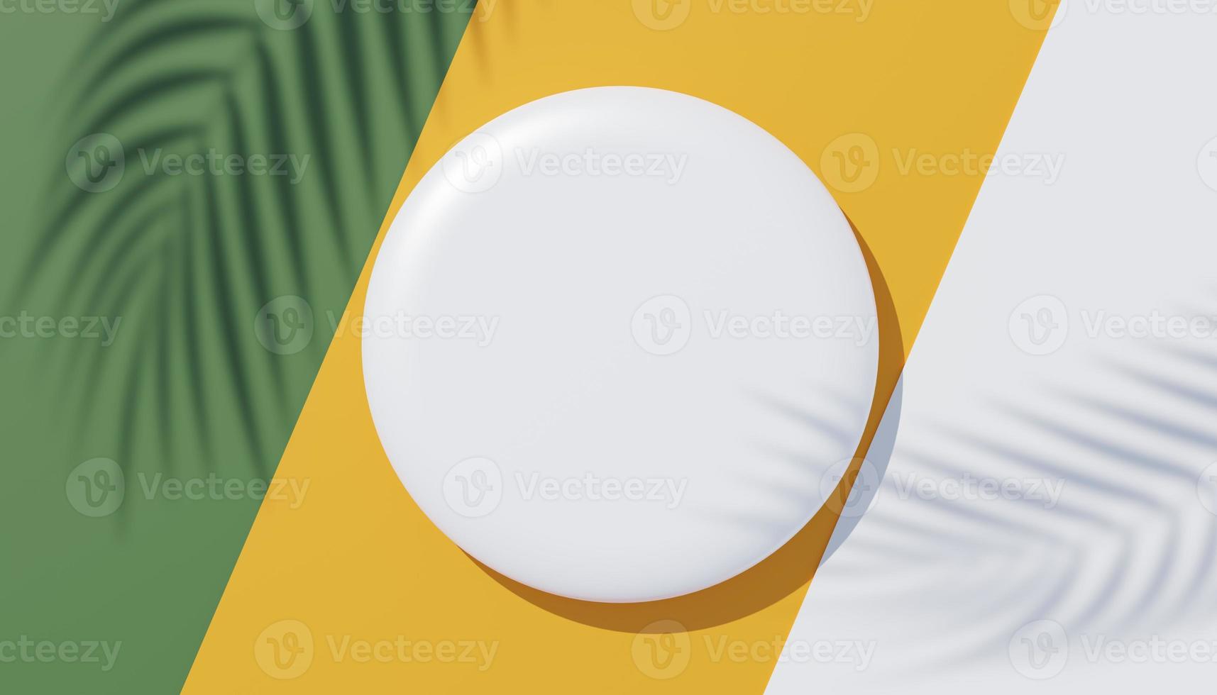 3d render top view of white blank cylinder frame for mock up and display products with shadows of palm leaves, earth tone, and pastel wall background. Creative idea concept. Widow shadow. photo