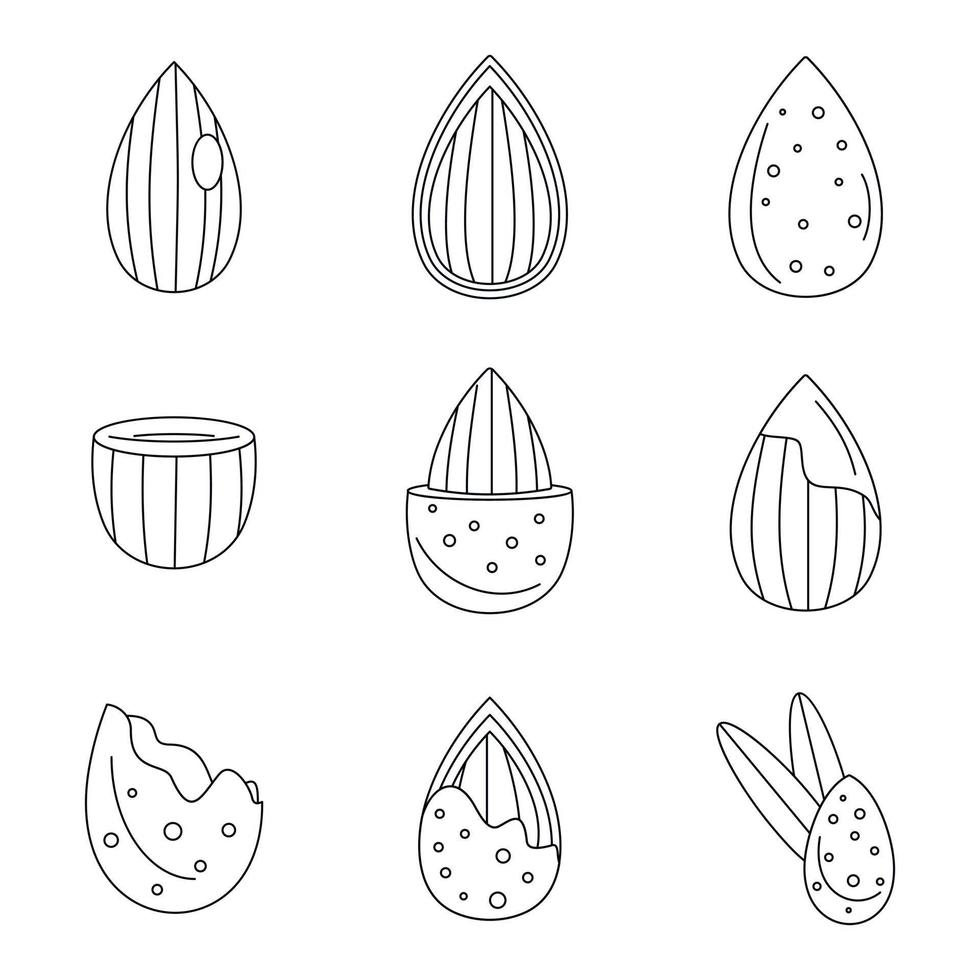 Almond walnut oil seed icons set outline style vector