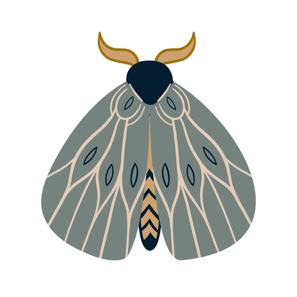 Hand drawn celestial butterfly or magical moth. Mystical insect vector