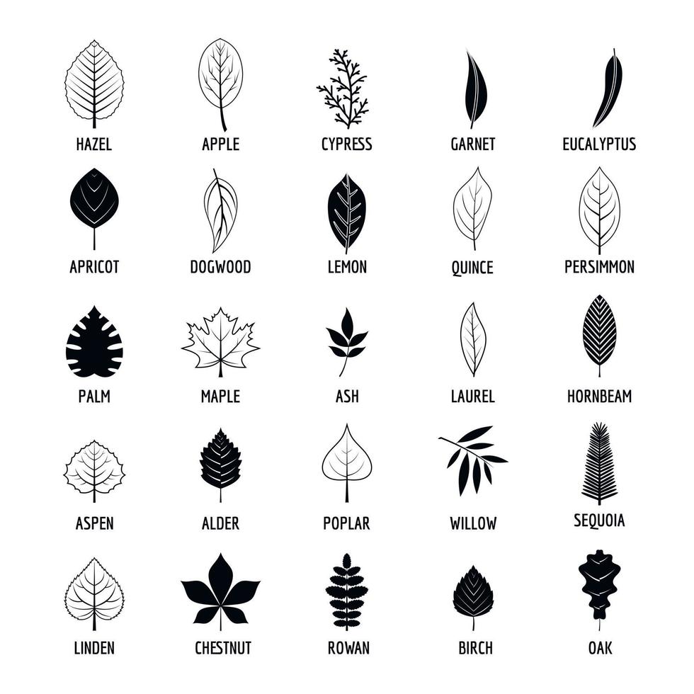 Leaf icons set, simple style vector