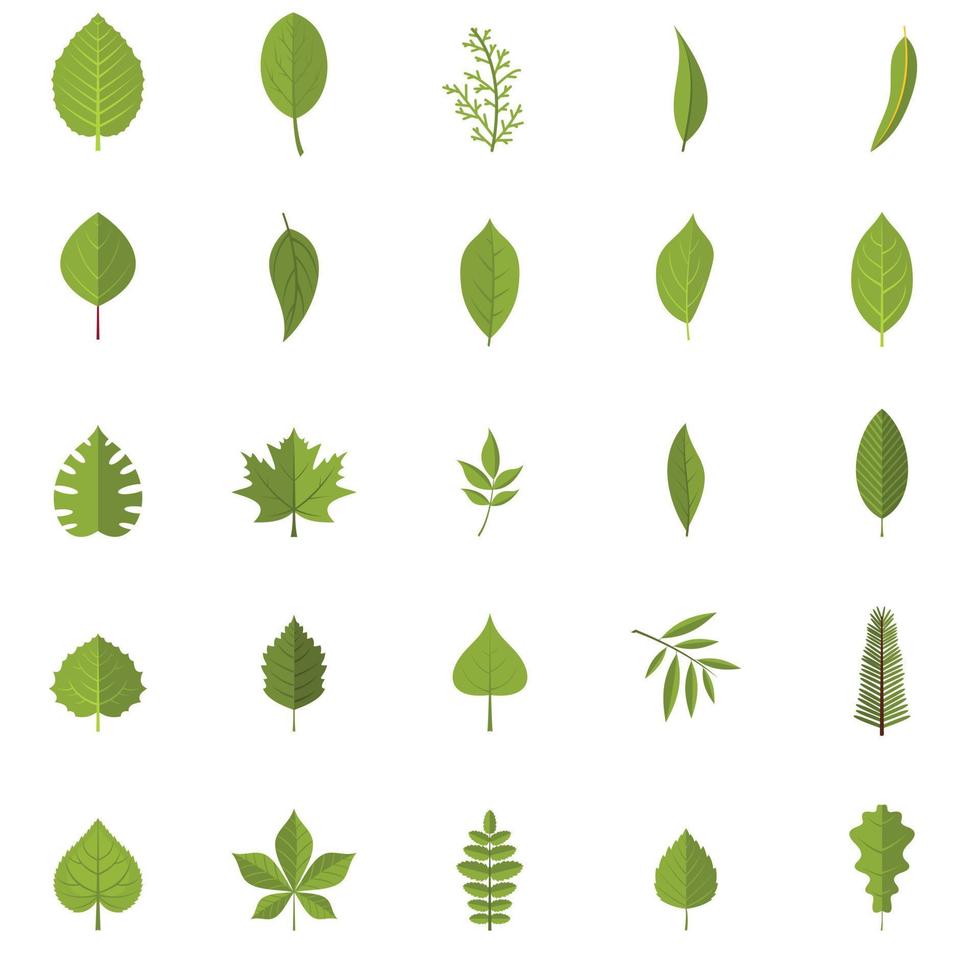 Leaf icons set, flat style vector