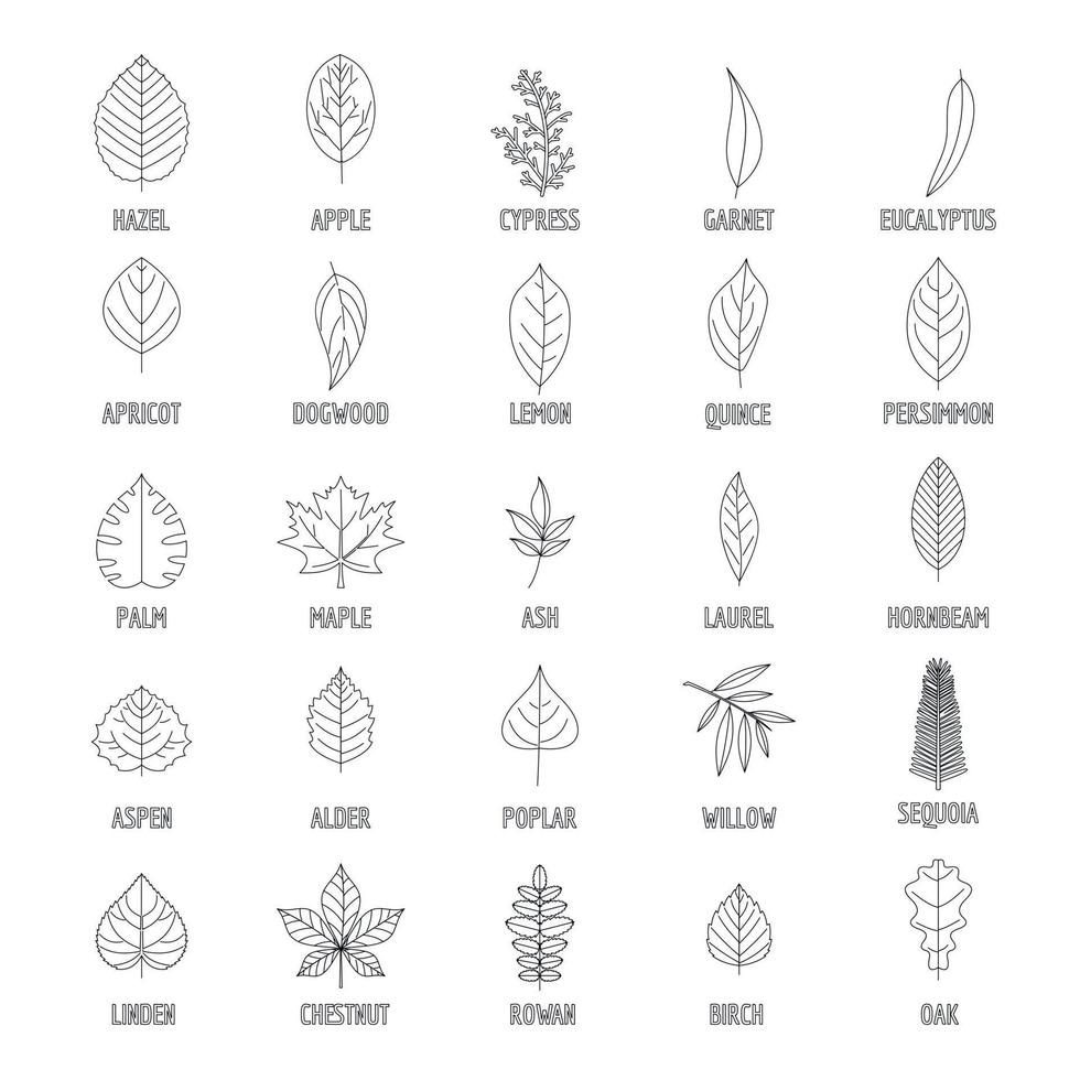 Leaf icons set, outline style vector