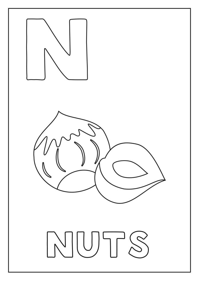 aprender el alfabeto inglés para niños. letra n nueces de dibujos