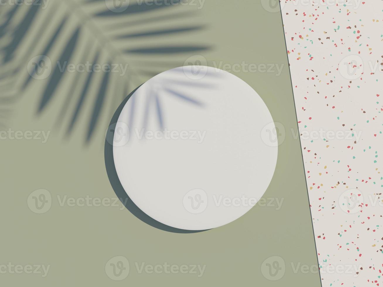3d render top view of white blank cylinder frame for mock up and display products with shadows of palm leaves, earth tone, and terrazzo wall background. Creative idea concept. photo