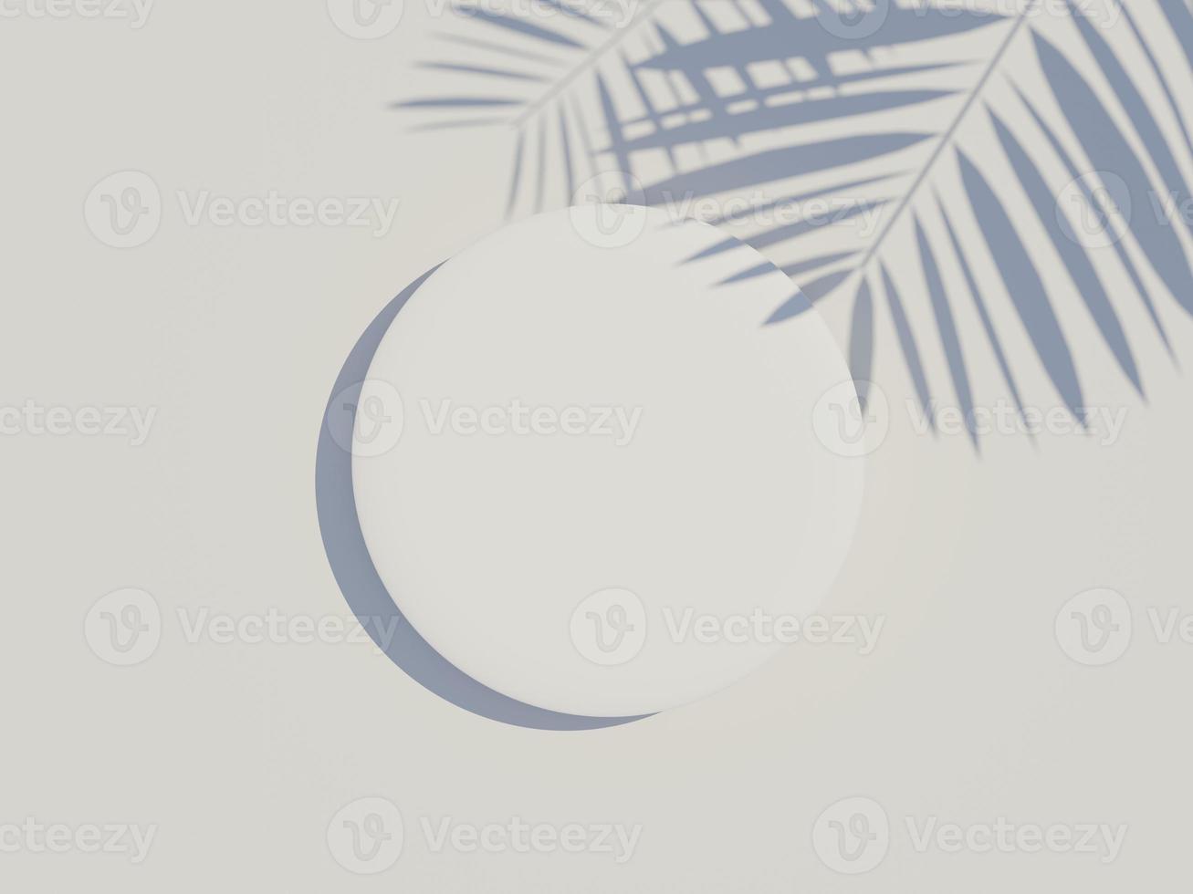 3d render top view of white blank cylinder frame for mock up and display products with summer beach scene and shadow of palm leaves. Summer time season background. photo