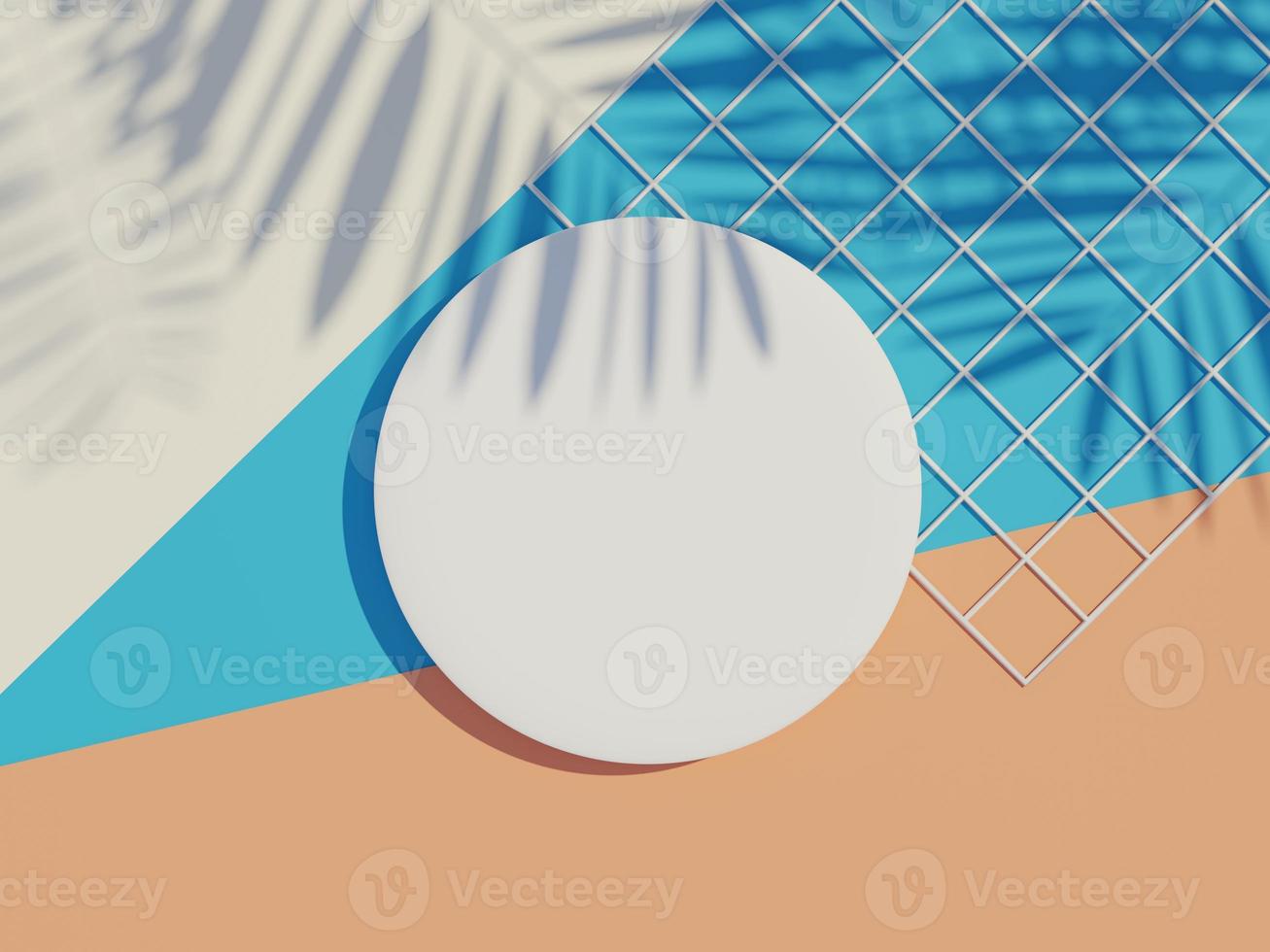 3d render top view of white blank cylinder frame for mock up and display products with shadows of palm leaves and earth tone background. photo