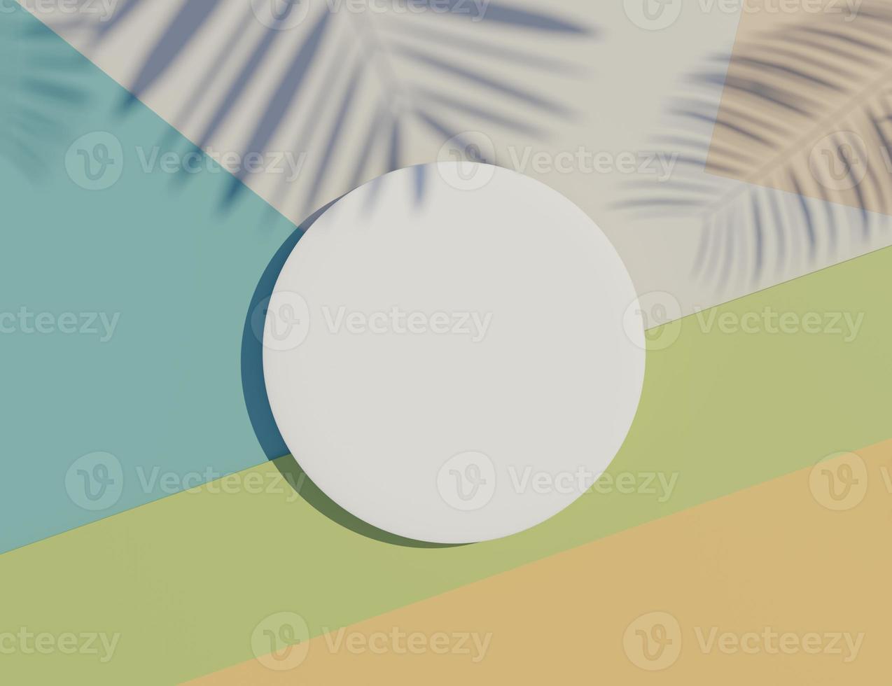 3d render top view of white blank cylinder frame for mock up and display products with shadows of palm leaves and white blue background. photo