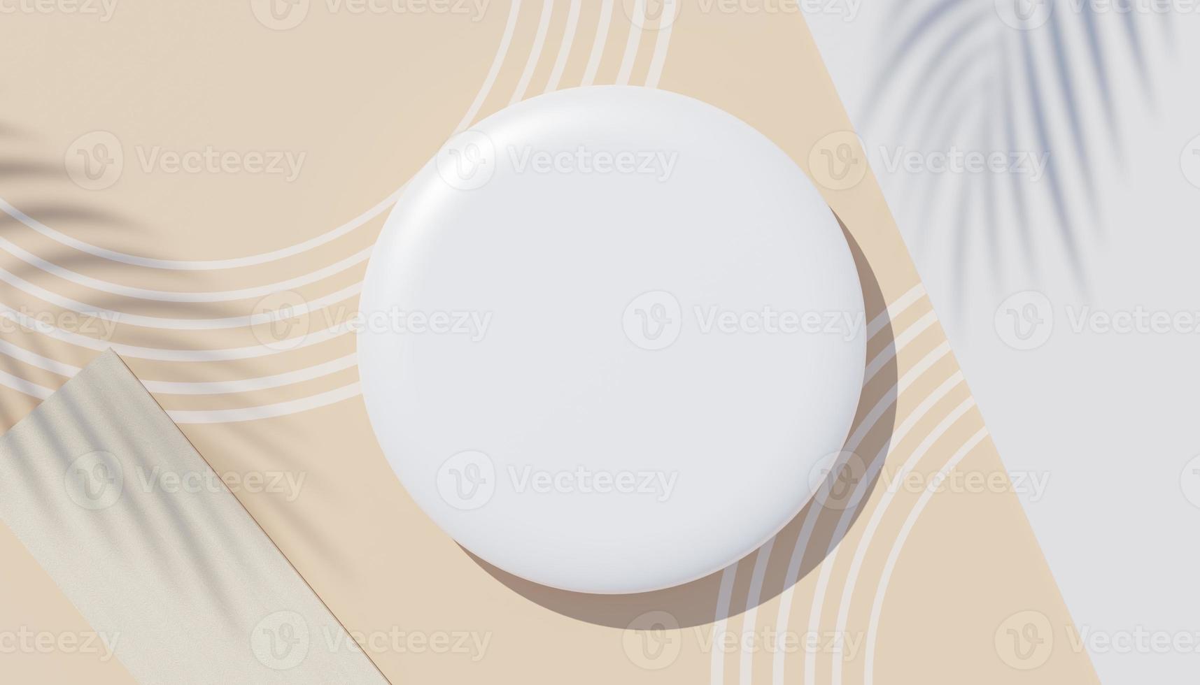 3d render top view of white blank cylinder frame for mock up and display products with shadows of palm leaves, earth tone, and pastel wall background. Creative idea concept. Widow shadow. photo