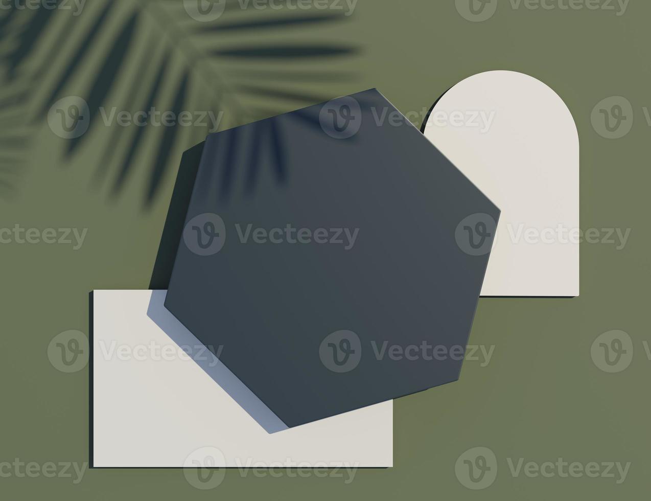 3d render top view of black hexagon frame for mock up and display products with shadows of palm leaves and earth tone background. Creative idea concept. photo