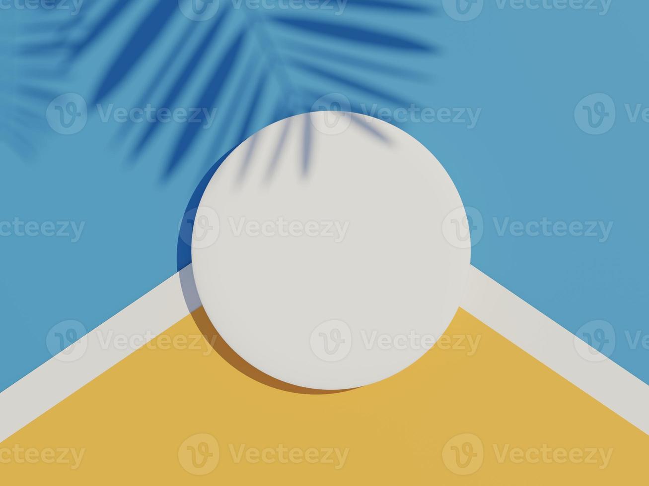 3d render top view of white blank cylinder frame for mock up and display products with shadows of palm leaves and earth tone background. photo