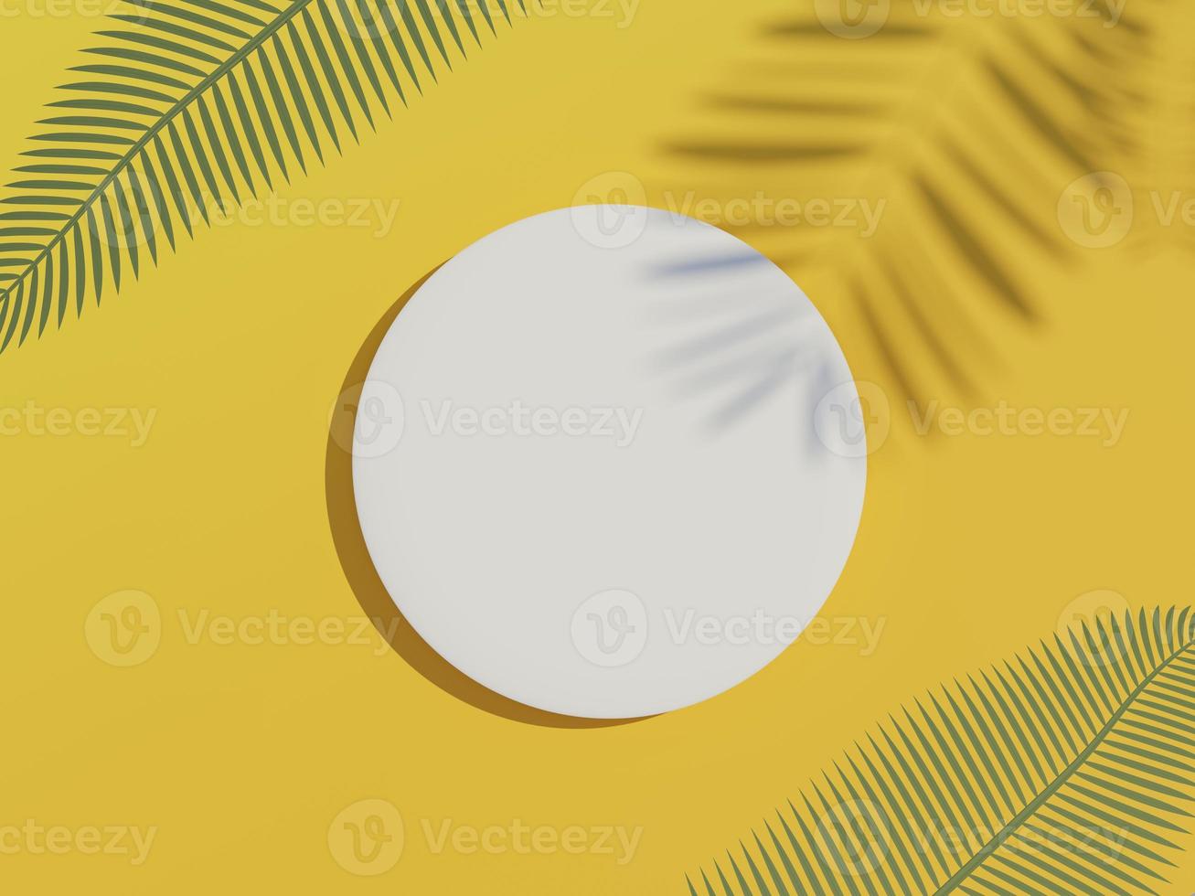 3d render top view of white blank cylinder frame for mock up and display products with summer beach scene and shadow of palm leaves. Summer time season background. photo