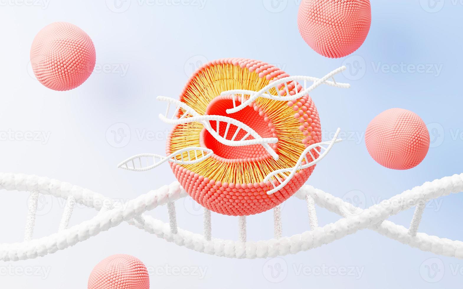 3d render cell membrane Phospholipid Bilayer. Layers of molecules. Gene expression. nucleotide database. Fluid mosaic model for education. Human gene. Plasma membrane structures. photo