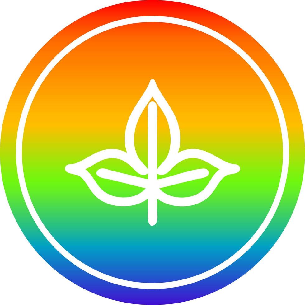 natural leaf circular in rainbow spectrum vector