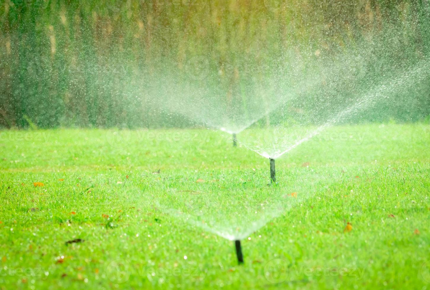 Automatic lawn sprinkler watering green grass. Sprinkler with automatic system. Garden irrigation system watering lawn. Water saving or water conservation from sprinkler system with adjustable head. photo