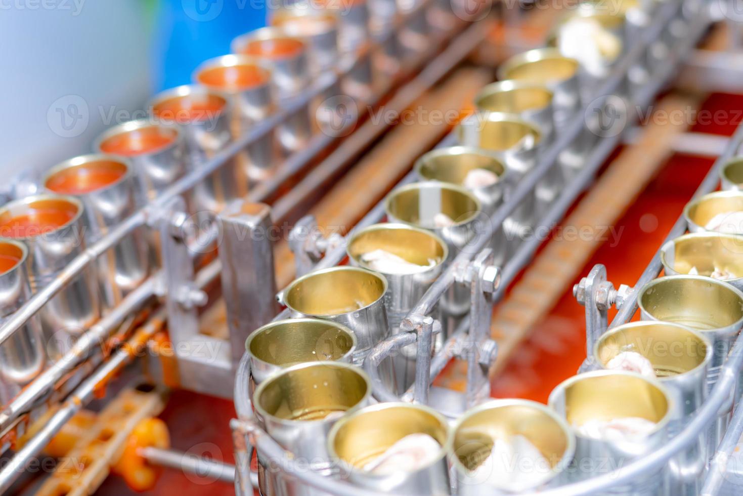 Canned fish factory. Food industry.  Sardines in red tomato sauce in tinned cans at food factory. Food processing production line. Food manufacturing industry. Many cans of sardine on a conveyor belt. photo