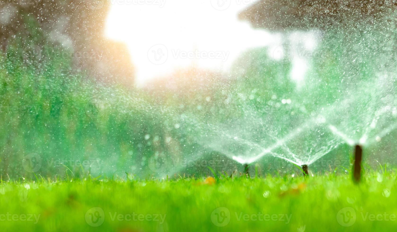 Automatic lawn sprinkler watering green grass. Sprinkler with automatic system. Garden irrigation system watering lawn. Water saving or water conservation from sprinkler system with adjustable head. photo