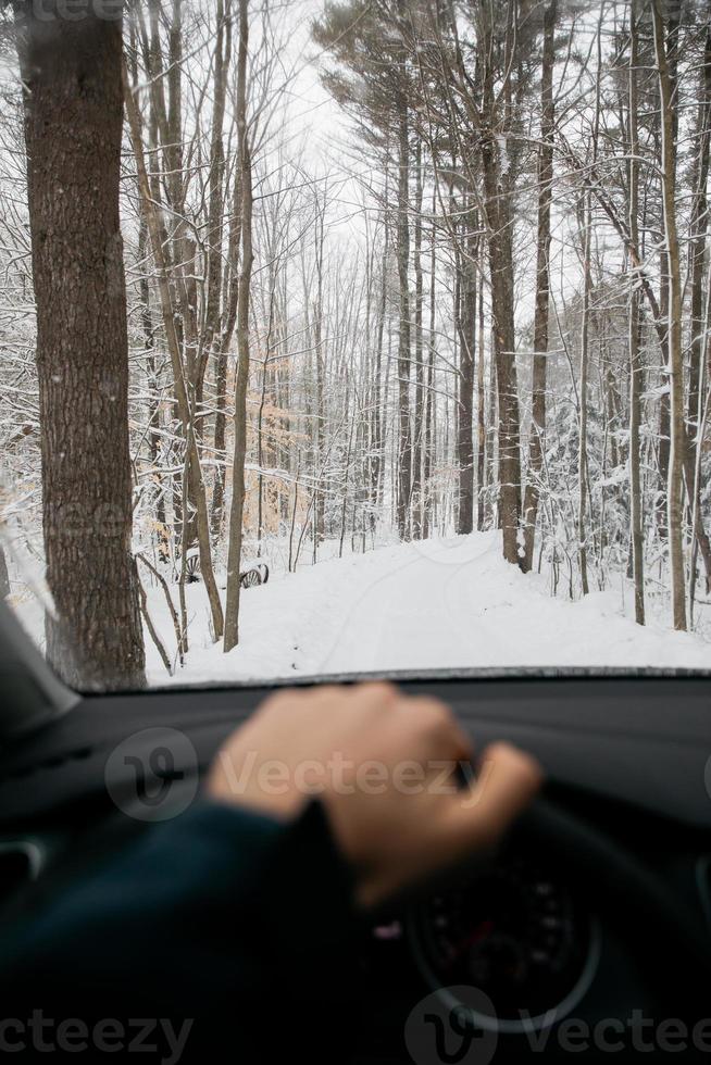 Driving in snowy woods photo