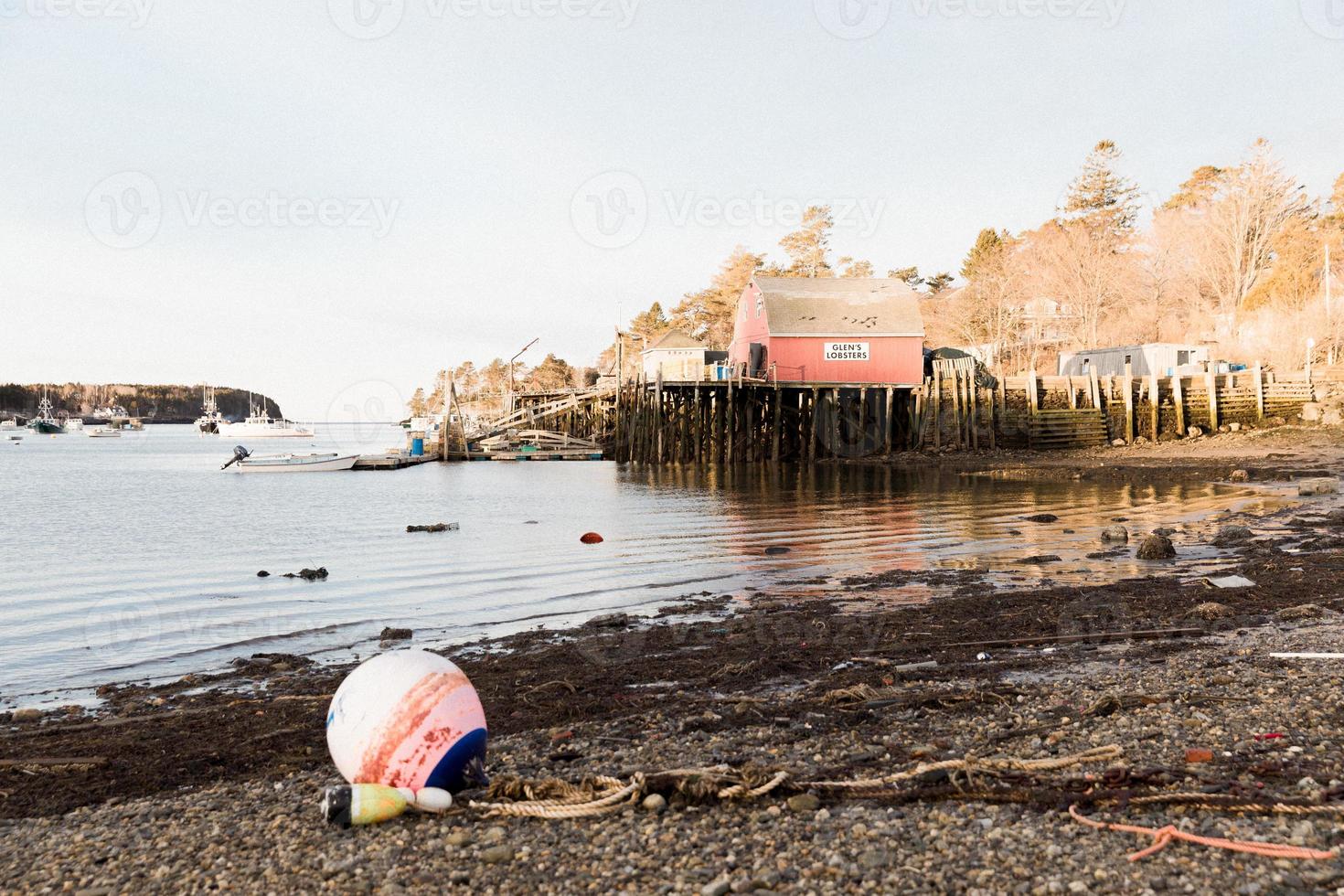 Coast at golden hour photo