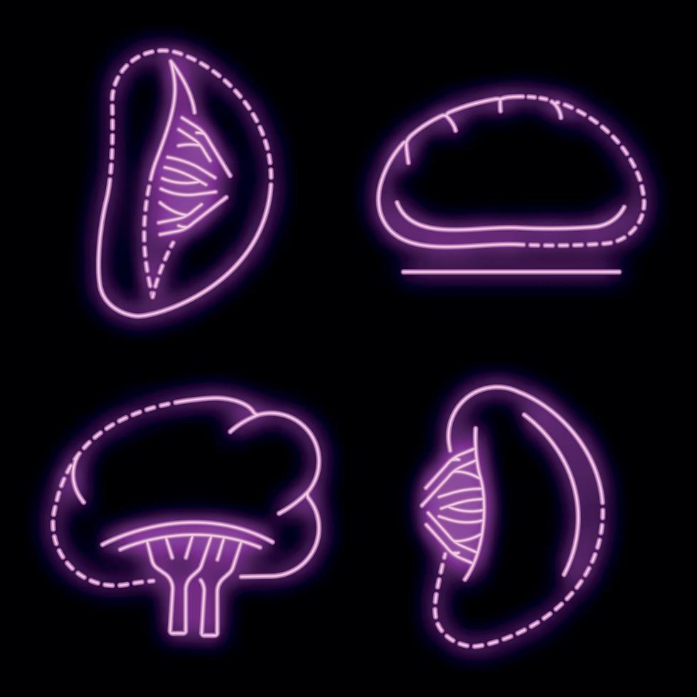 Spleen icon set vector neon