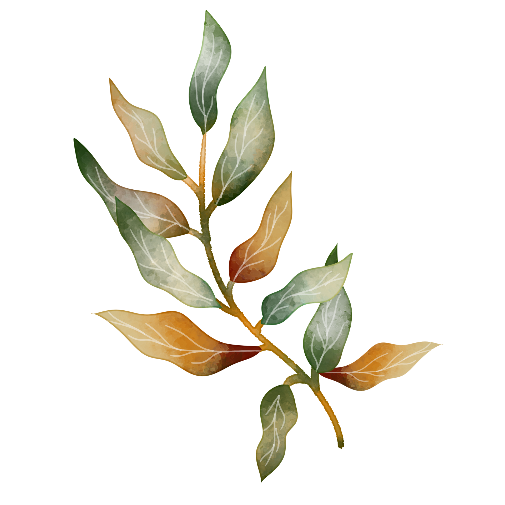 Hand drawn Leaf Watercolor 8822109 PNG