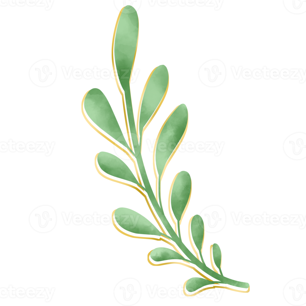 Luxury Leaf Decoration png