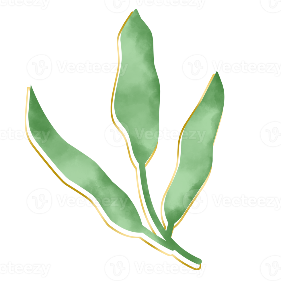 Luxury Leaf Decoration png