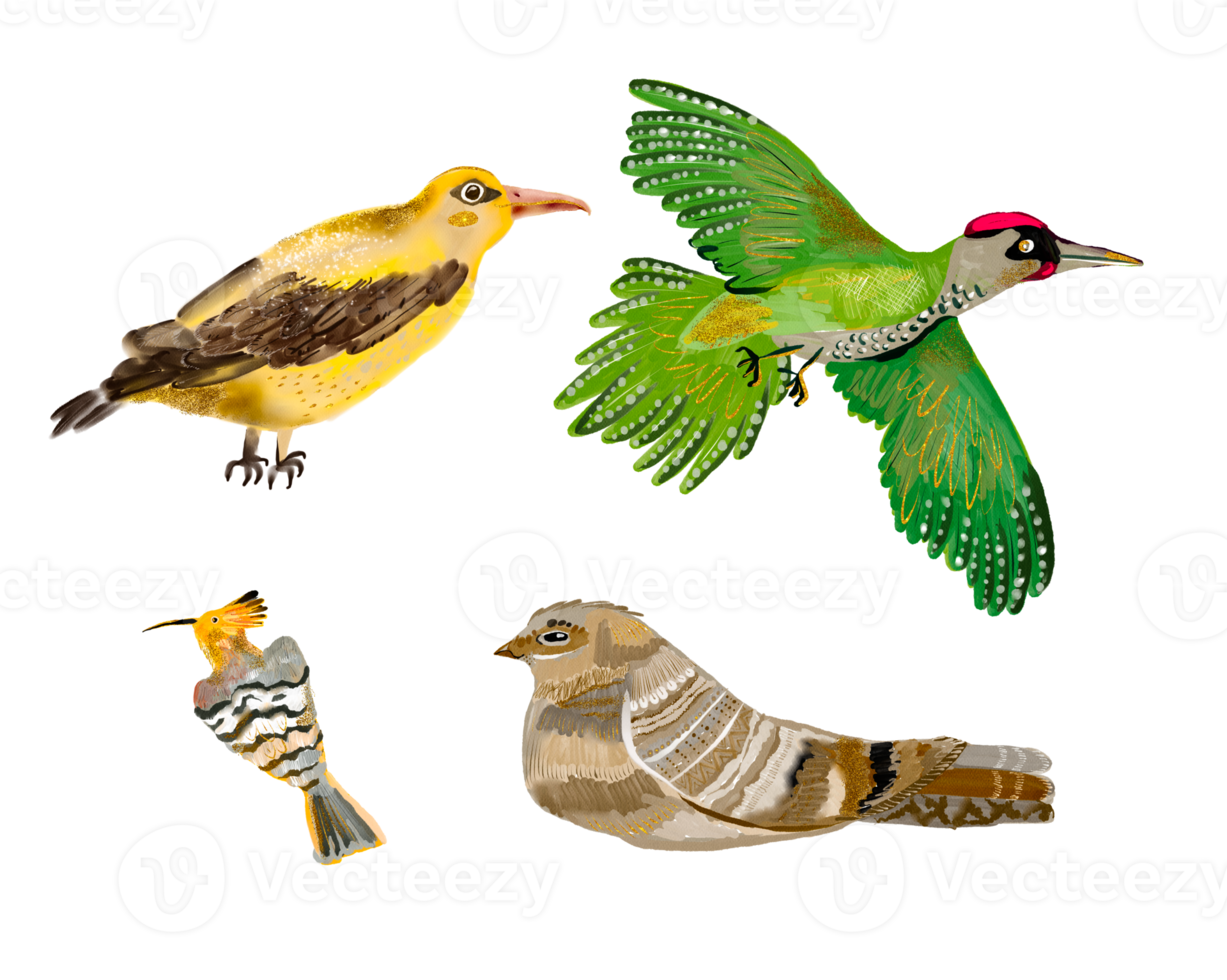 handgezeichneter Vogel mit Gold png