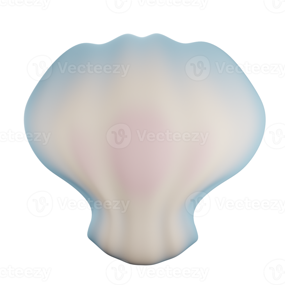 3d shell illustration with transparent background png