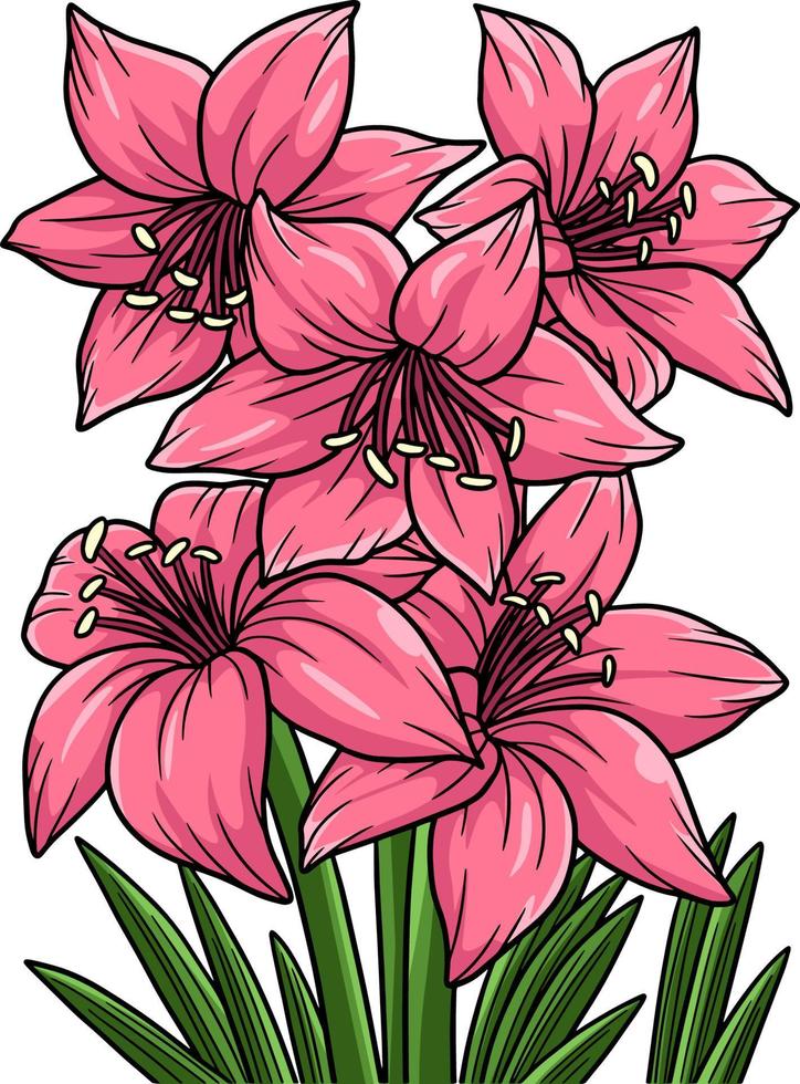 Amaryllis Flower Cartoon Colored Clipart vector