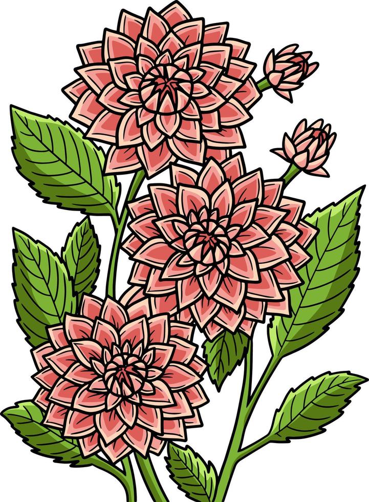 Dahlia Flower Cartoon Colored Clipart Illustration vector