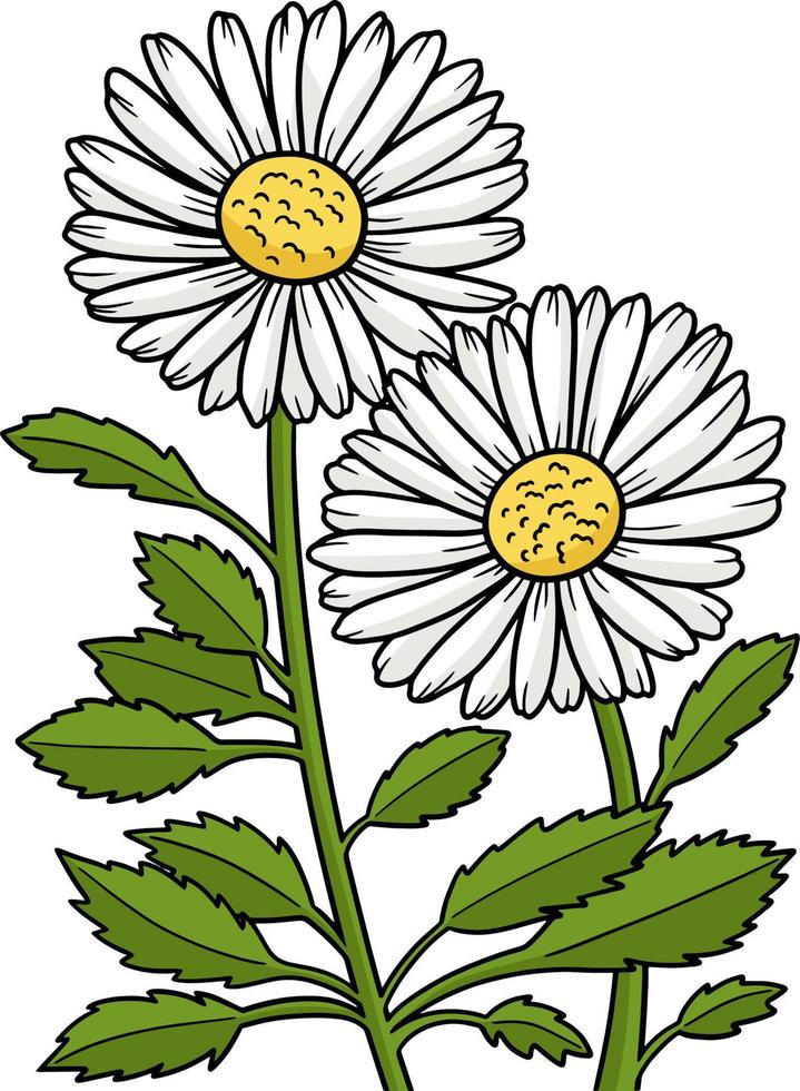 leucanthemum margarita flor clipart de dibujos animados 8822726 Vector en  Vecteezy