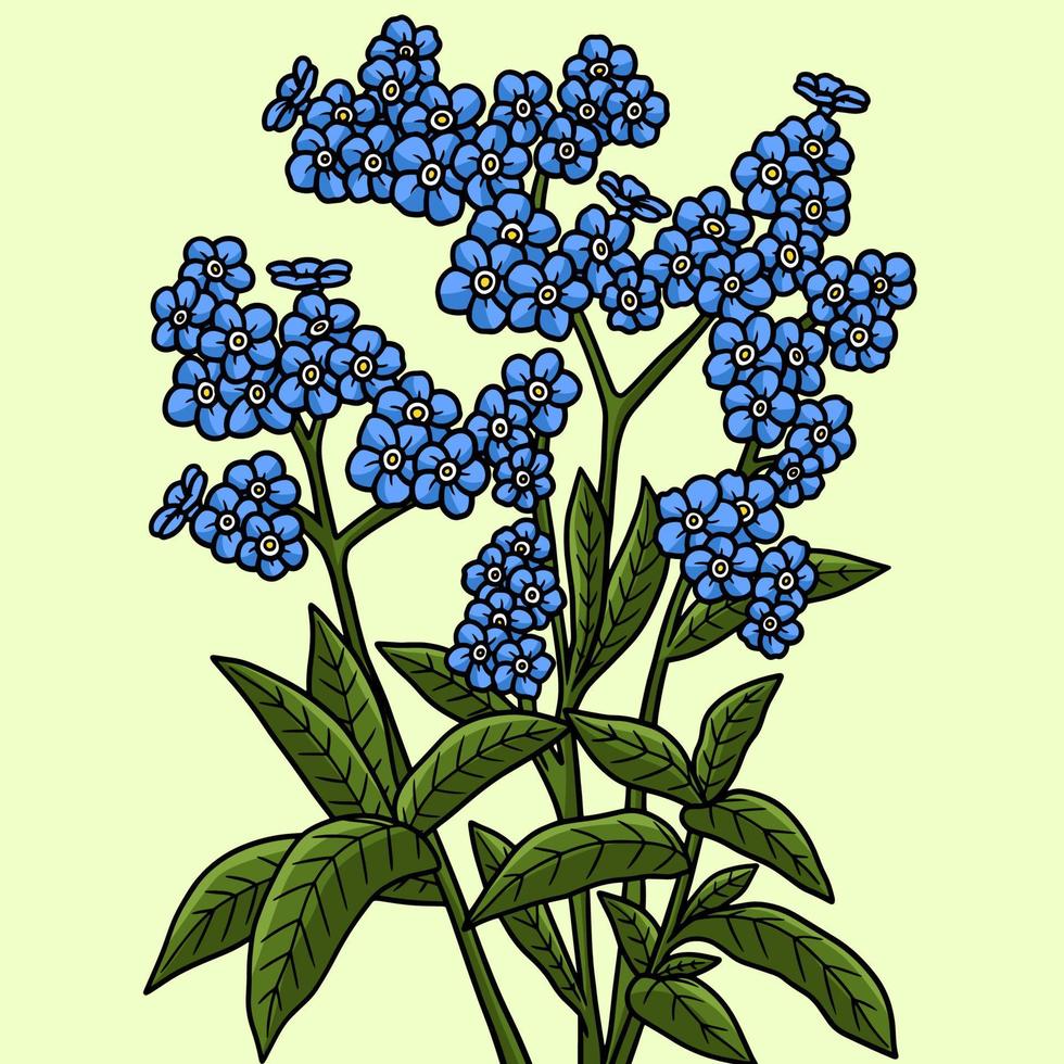 Forget Me Not Flower Colored Cartoon Illustration vector