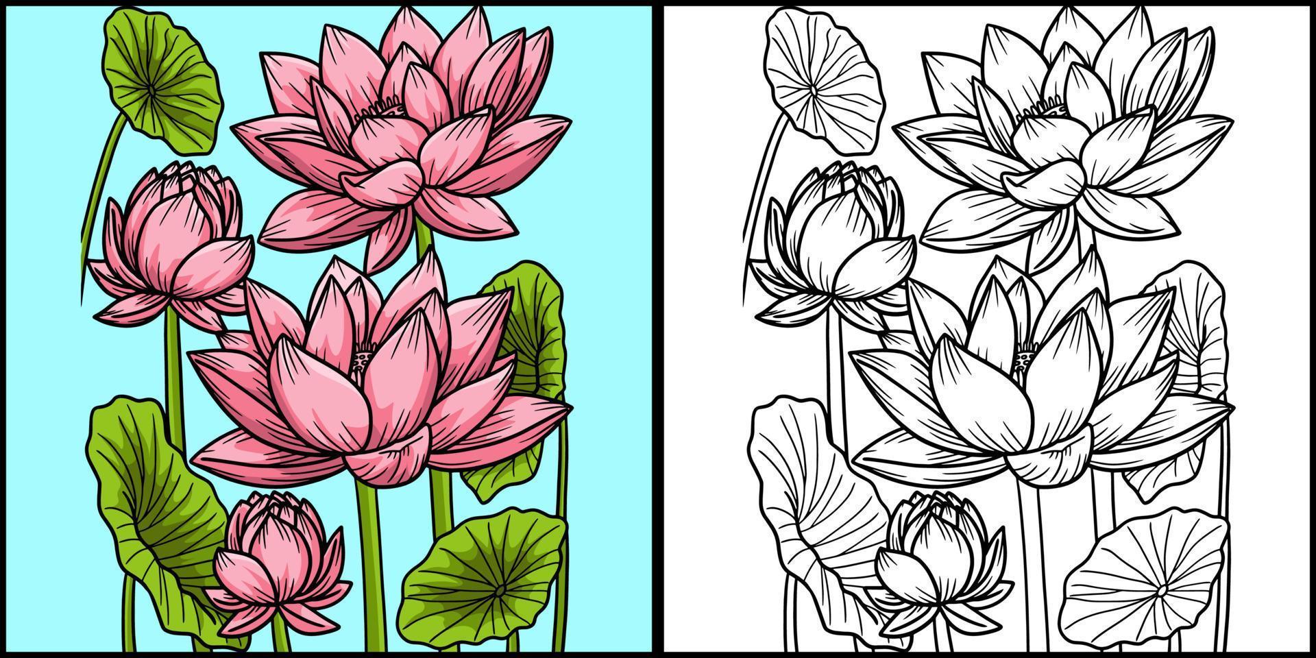 flor de loto para colorear página color ilustración vector