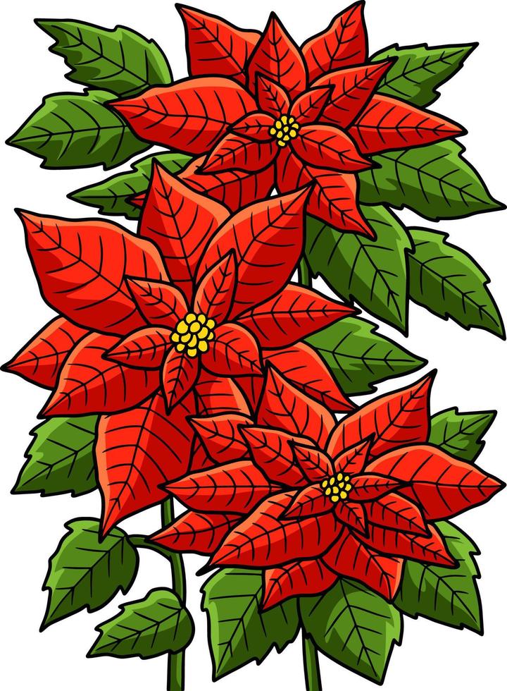 Poinsettia Flower Cartoon Colored Clipart vector