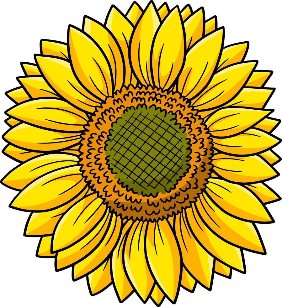 Sunflower Flower Cartoon Colored Clipart vector