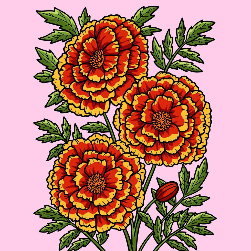 ilustración de dibujos animados de color flor de caléndula vector