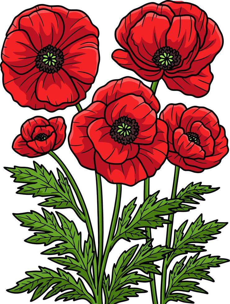 Corn Poppy Flower Cartoon Colored Clipart vector