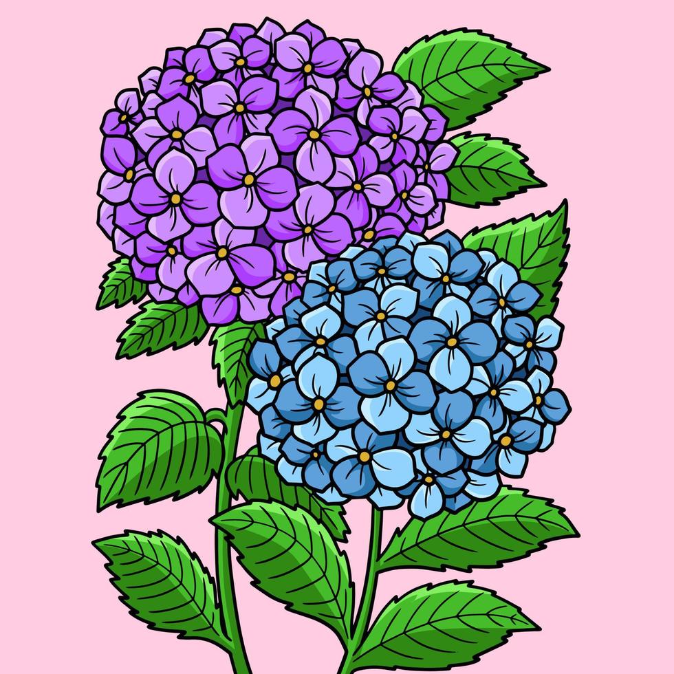 ilustración de dibujos animados de color de flor de hortensia vector