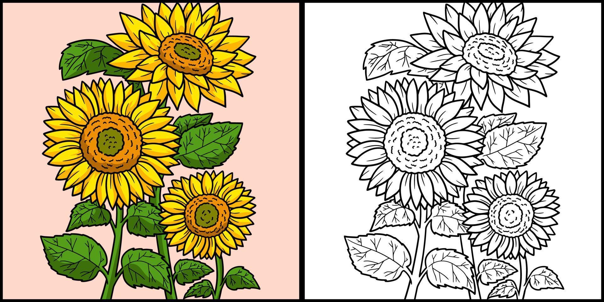 girasol para colorear página color ilustración 8823059 Vector en Vecteezy