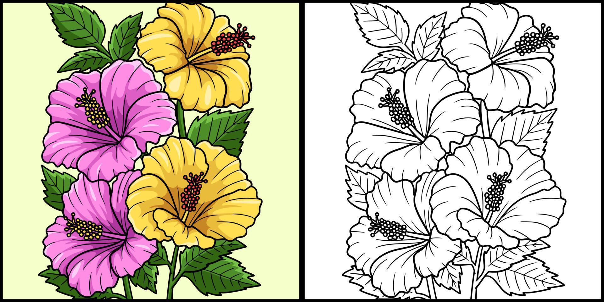 Hibiscus Flower Coloring Page Colored Illustration vector