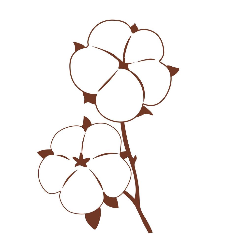 ilustración de stock de vector de algodón. puro y natural. plantilla de logotipo flor algodón orgánico. Aislado en un fondo blanco. una flor de rama en la invitación.