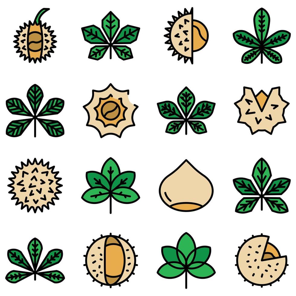 Chestnut icons set vector flat