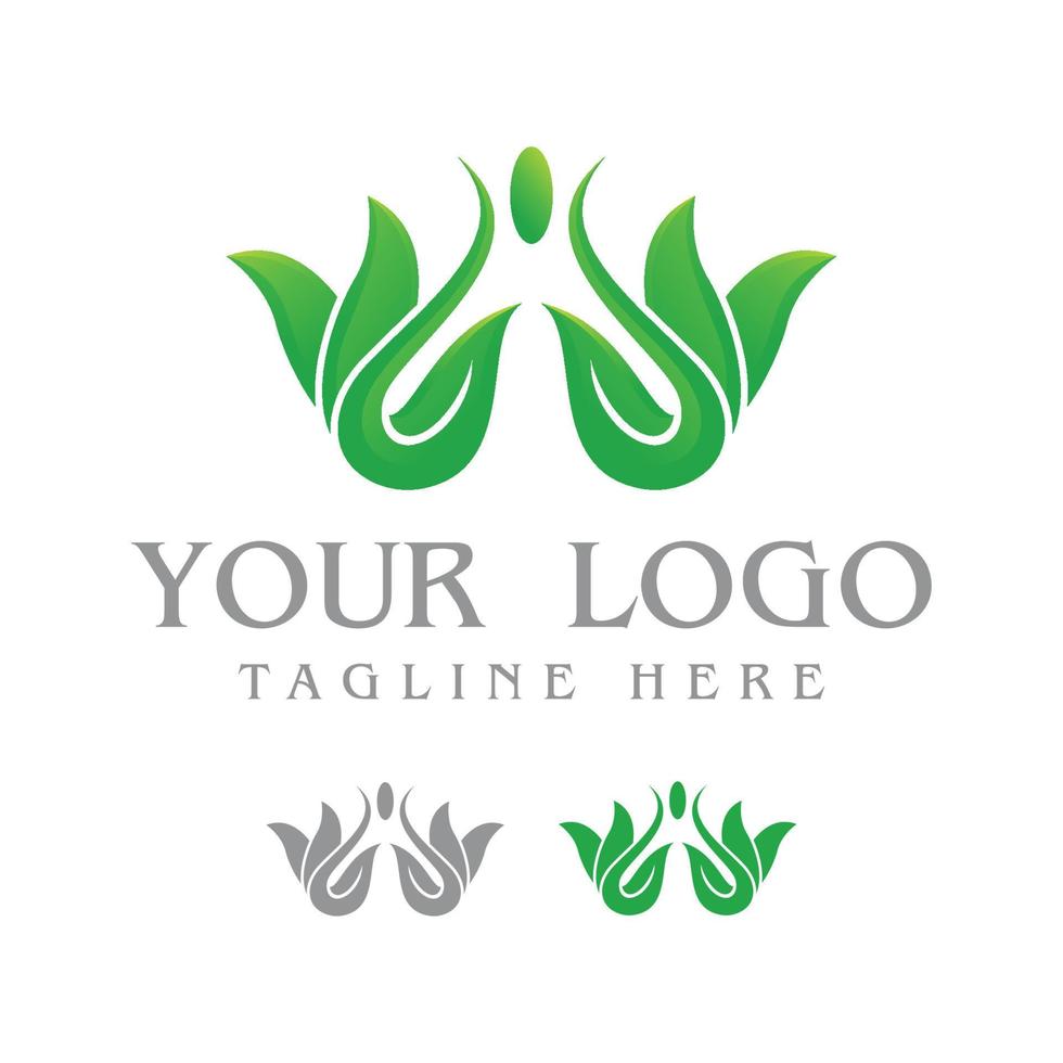 leaf logo designs vector