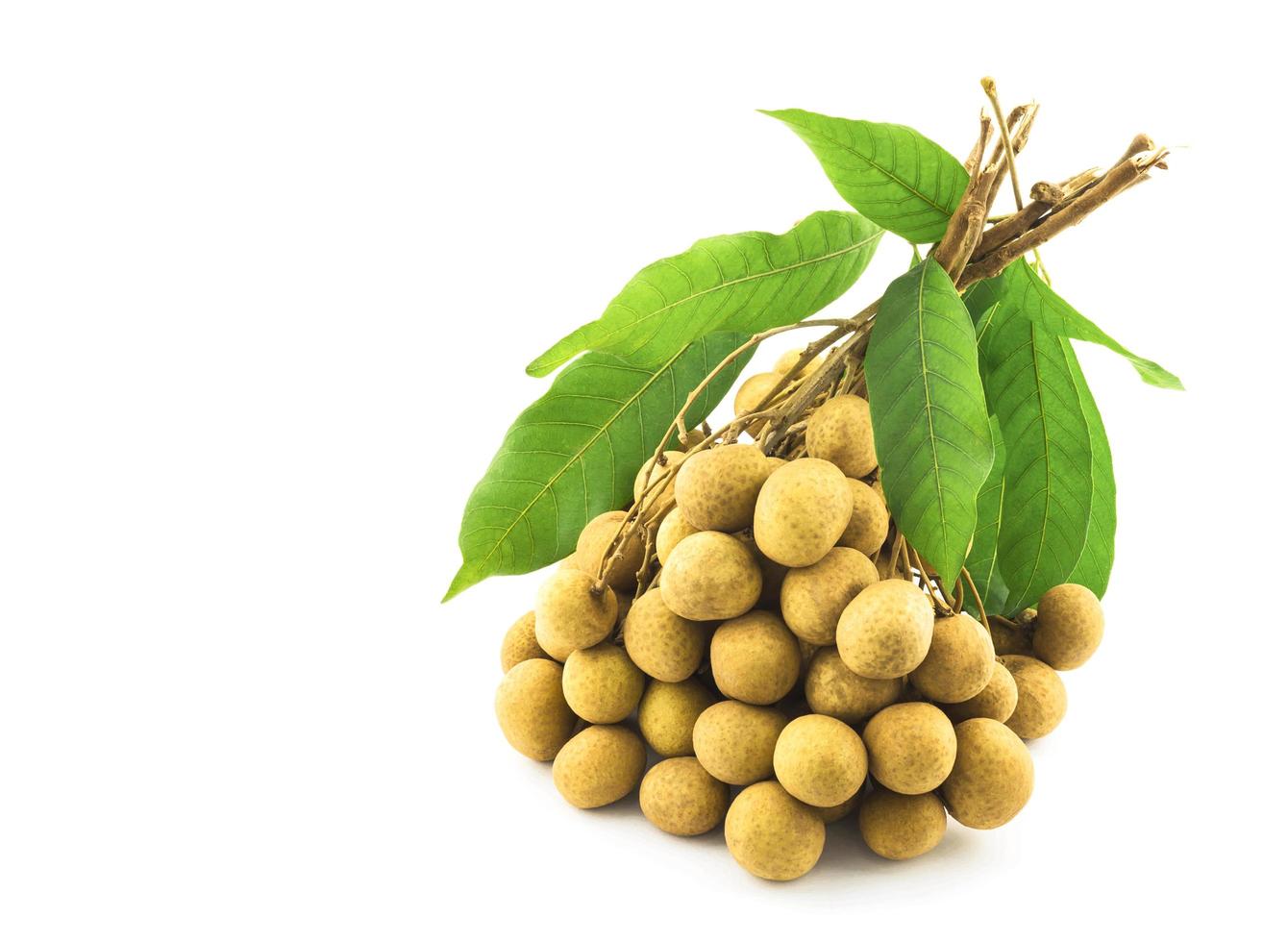 Bunch of longan, dimocarpus, with its leaves isolated over white photo