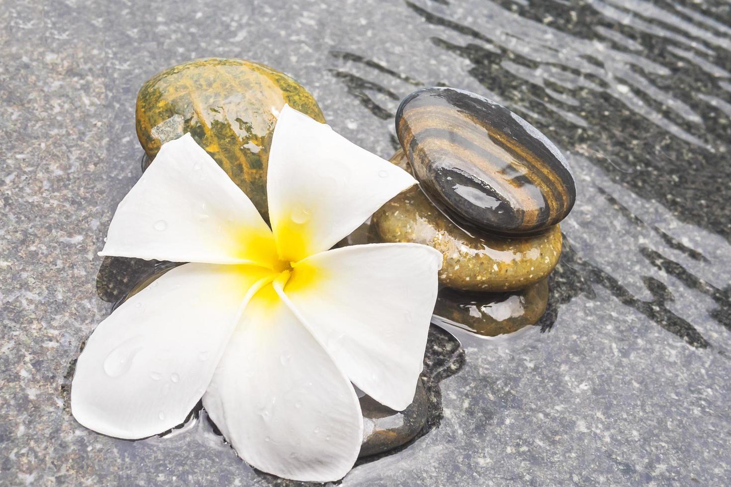 Plumeria and stone on water surface, spa concept photo